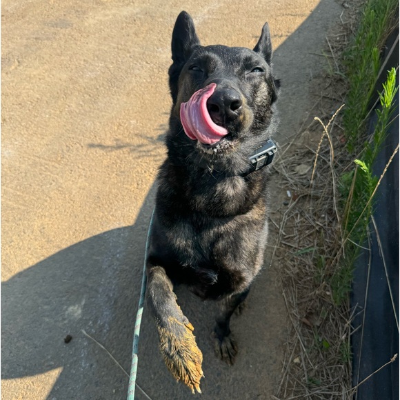 Check out my styling inspo insta or tiktok@xgenxclosetx 🫶🏼 - Picture 4 of 10